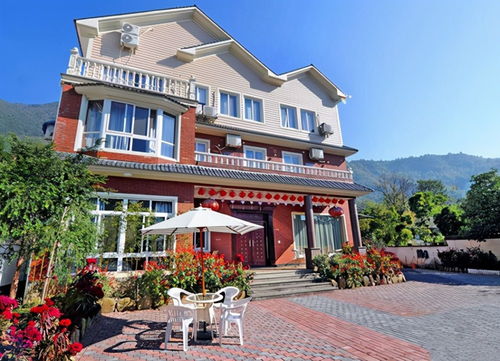 農家樂為何回頭客稀少？過來人的體驗揭示了真相